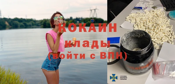 крисы Богородск