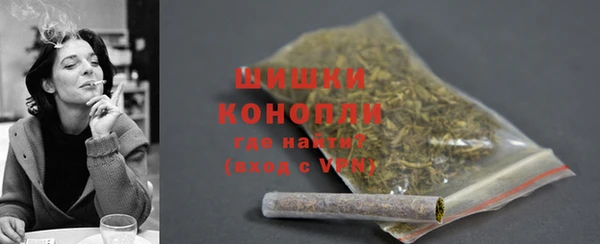крисы Богородск