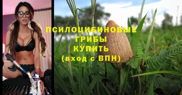 крисы Богородск
