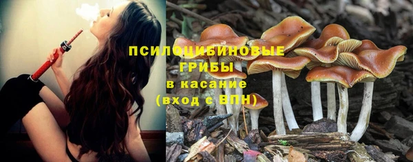 бутират Богданович